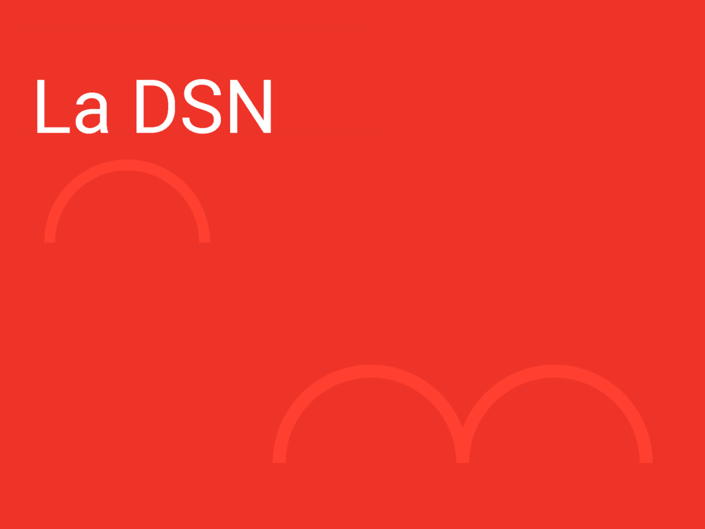 DSN : les anomalies principales